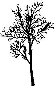 Pro tree